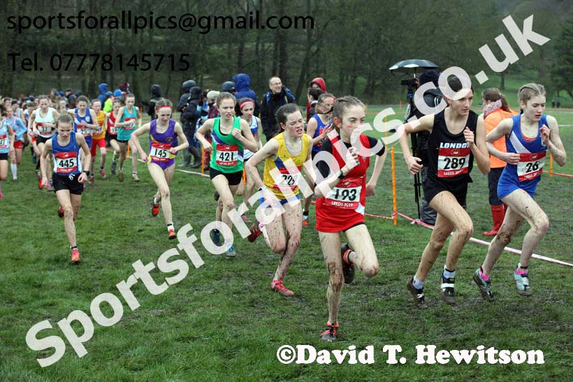 Junior girls 2019 New Balance English Schools Cross Country Champs, Temple Newsam, Leeds. Photo:  David T. Hewitson/Sports for All Pics
